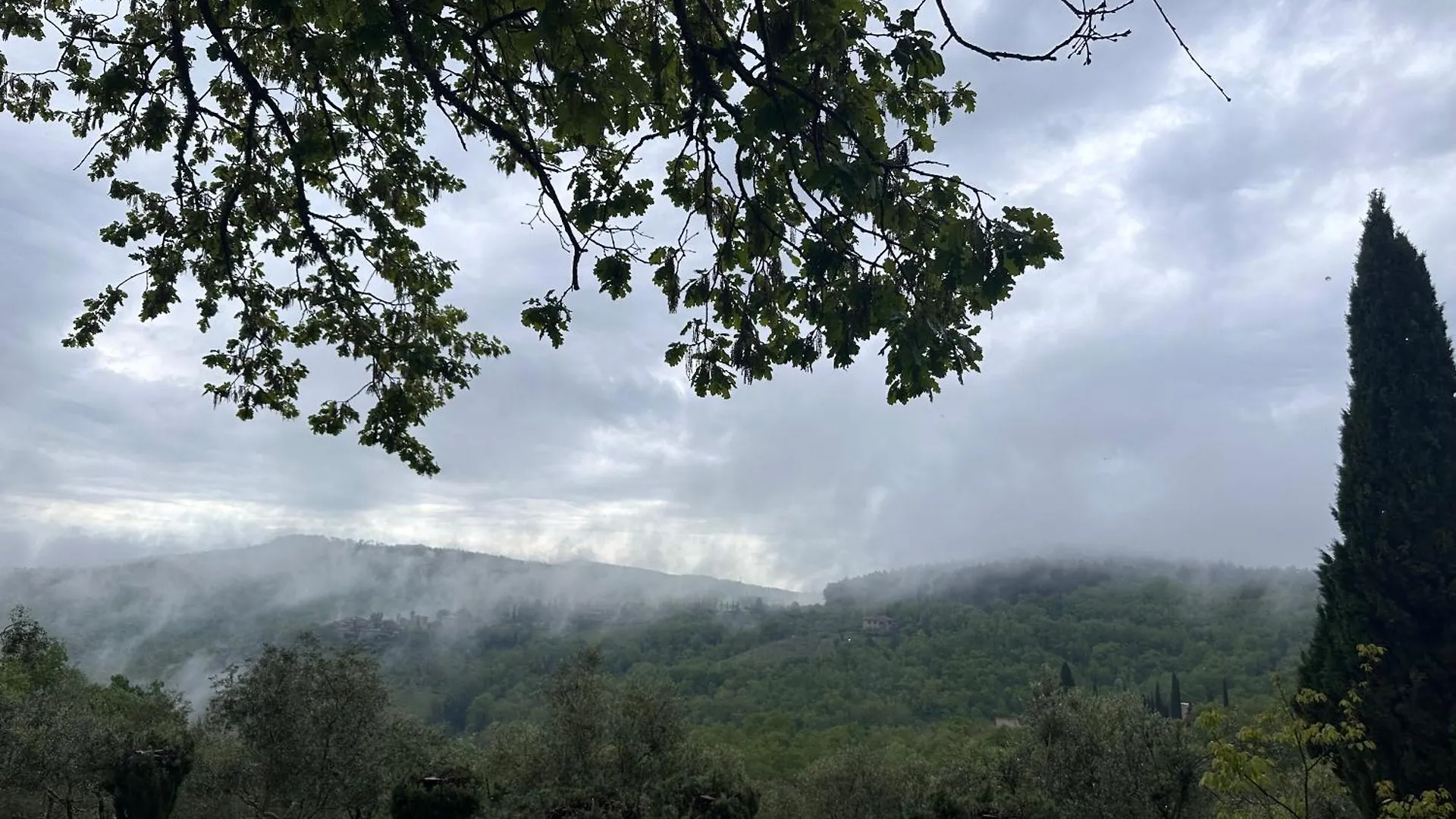 Apartment Podere Sagna Castellina in Chianti